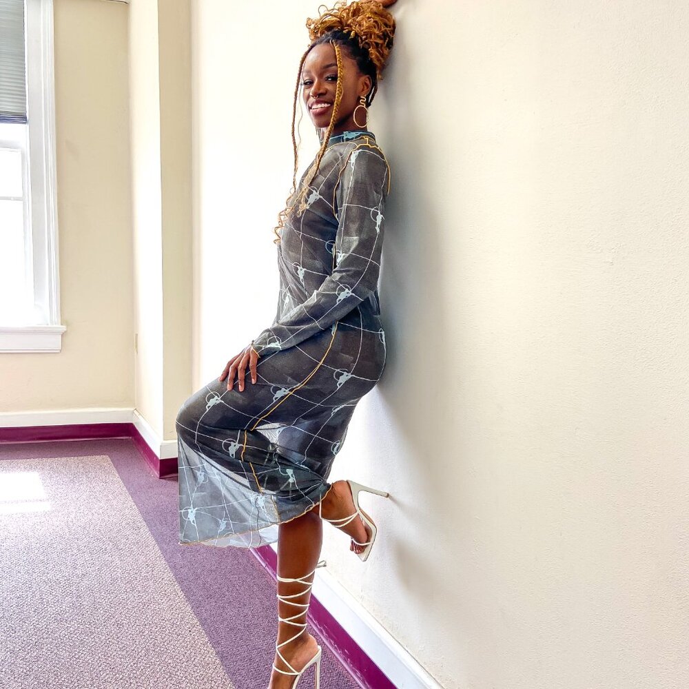 Pre-loved Liv Ryan Aerial Mesh Dress